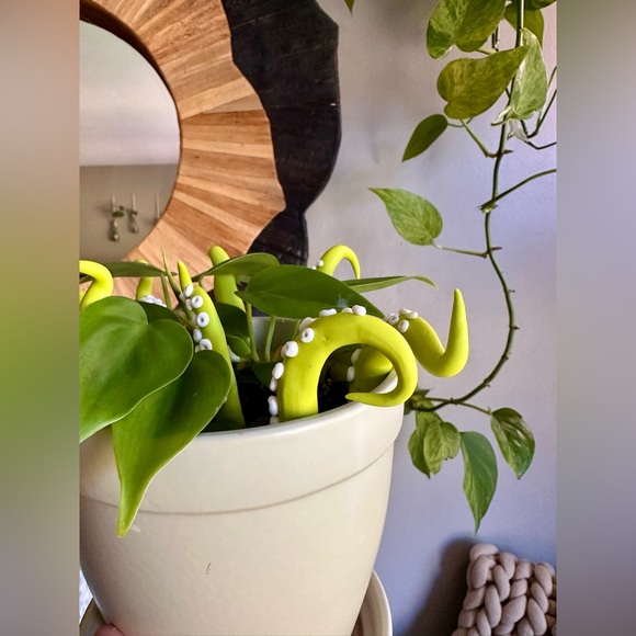 8 Lime Green Sea Creature Tentacles 🦑Decor Tentacle Unique Modern Indoor Plant - Picture 3 of 10